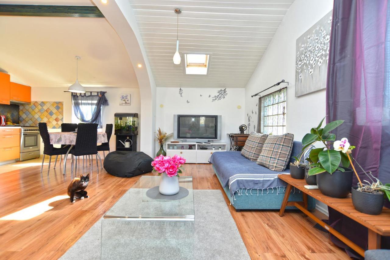 Apartment Sasa 1113 Fažana エクステリア 写真